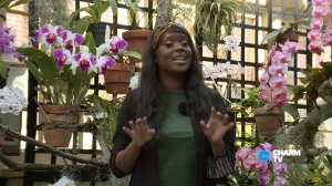 Rawlings Conservatory