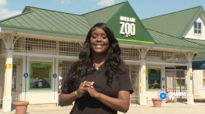 The Maryland Zoo